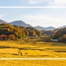 오늘이라는 길 / 靑山 손병흥 이미지