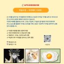 미술수업+아이패드 드로잉 이미지