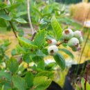 대건유치원 이미지