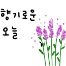 H(에이치) CAFE 이미지