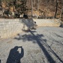 숲이좋아민박 이미지