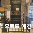 으르렁애견카페 이미지