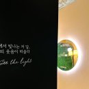 홍대카페 : 홍대에서 특색있는 데이트를 원하신다면 씨더라이트