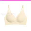 2316 | [내돈내산] 아내를 위한 센스 있는 선물! 에블린 3cm 볼륨 심리스 브라 (EBBRG2316M) 솔직 후기