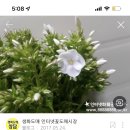 에이프릴케이크 이미지