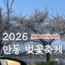 안동체육공원? | 🌸 2026 안동 벚꽃 축제 총정리 ㅣ개화현황, 즐길거리(공연 라인업), 주차, 포토존 후기