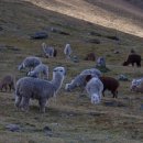 빈 팩토리 이미지