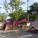 고성 장좌리 캠핑장 이미지