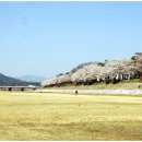 강변길 서천 이미지