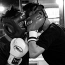 구미거북복싱 이미지