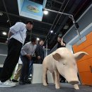 광주한우영농조합법인 이미지