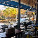 시피나뜨니 비스뜨로 이미지