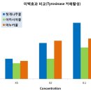 숙이네벌꿀