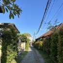 로카(LOKA) | 얼렁뚱땅 발리 여행 - 여자 혼자 발리 여행 숙소 추천 4. 짱구 Canggu 숙소 Lila Loka Homestay 추천