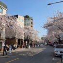 필운대로 이미지