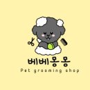 베베몽몽 이미지