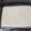 무안곤충농장 이미지