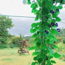 숯방 나드리 이미지