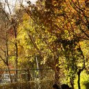 영통중학교 이미지