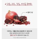 갱년기 영양제 싸이언티픽 석류회화나무환 후기