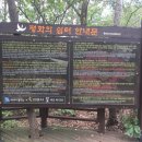 고봉봉25
