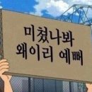 뷰틸다 이미지