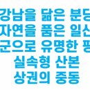 도기스쿨 | 1기 신도시 지역 분석 - 다꿈 임장스쿨 하리니 샘 강의 후기