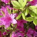 벽산하이마트 이미지