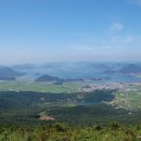 금화고속관광 이미지