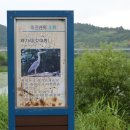 고니물상