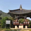 산양일주도로가로수 이미지