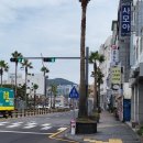 세븐일레븐 완도중앙점 | 제주-목포 퀸제누비아호 승선 후기[휠체어 여행]