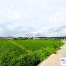 통일로 금촌농장 이미지