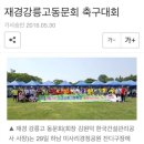 강릉고등학교 이미지