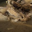 성림가든 이미지