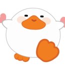 피누스스토어 일류 이미지