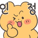 커피나인송파