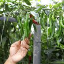 아름다운농장 이미지