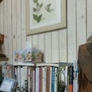 들뫼풍경 이미지