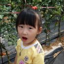 현준농장 이미지