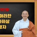 [금강경 수업] 20. 1,250 아라한 그리고 보살과 마하살 이미지