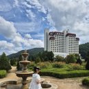 켄싱턴 수영장 이미지