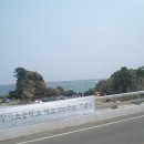 장기초등학교 이미지