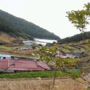 금오도공인중개사사무소 이미지