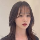 베체헤어