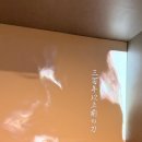 검배로6번길 이미지