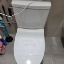 휴먼시아추담마을(아)경로당 | 평택 변기 막혔을때 뚫는곳 출장 업체 합정동 참이슬아파트 변기에서 귤 빼내기