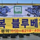 이강인농장 이미지