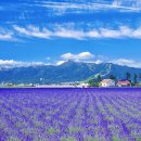 국철농장 이미지