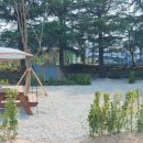 선상서로 이미지